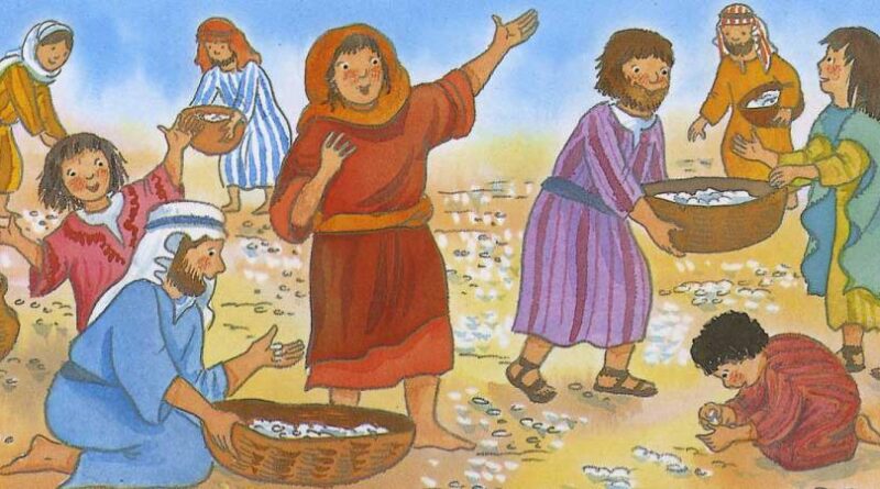 Story of manna and quail - मन्ना और बटेर की कहानी