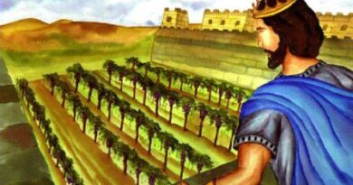 Story of naboth's vineyard - नाबोथ के अंगूर के बाग की कहानी