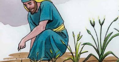 Story of parable of the mustard seed - सरसों के बीज के दृष्टांत की कहानी