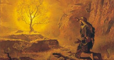 Story of lord speaks from a burning bush - जलती हुई झाड़ी से प्रभु के बोलने की कहानी