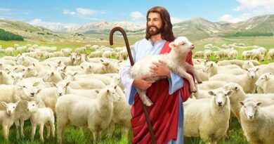 Story of parable of a lost sheep - एक खोई हुई भेड़ के दृष्टांत की कहानी