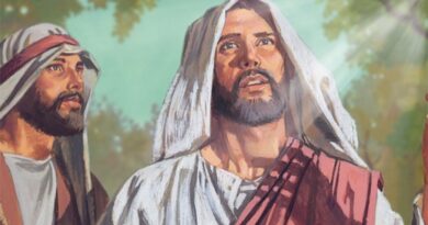 Peter testifies of christ story - पतरस मसीह की गवाही देता है कहानी