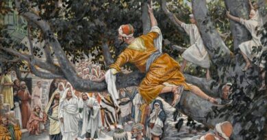 Story of jesus and zacchaeus - यीशु और जक्कई की कहानी