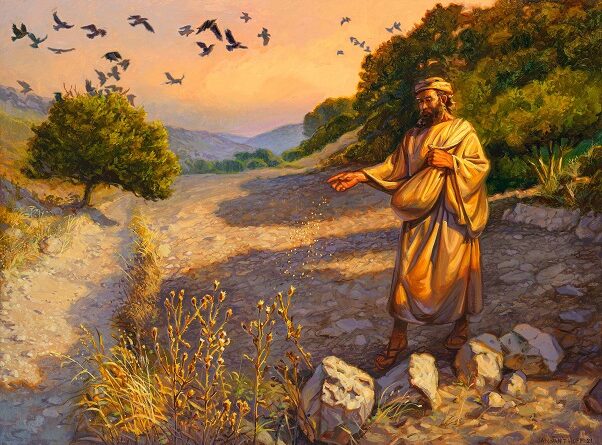 Story of the parable of the sower - बोने वाले के दृष्टांत की कहानी