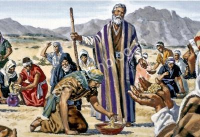 Moses, the desert trek and manna from heaven story - मूसा, रेगिस्तान की यात्रा और स्वर्ग से मन्ना की कहानी