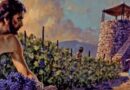 The story of parable of the tenants in the vineyard - दाख की बारी में किरायेदारों के दृष्टांत की कहानी