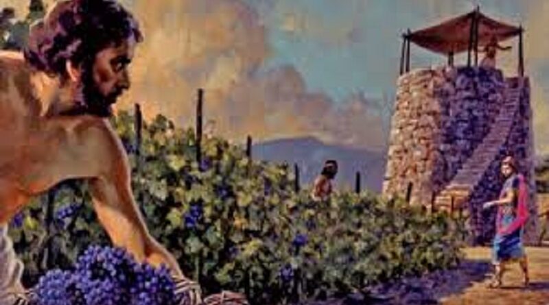 The story of parable of the tenants in the vineyard - दाख की बारी में किरायेदारों के दृष्टांत की कहानी
