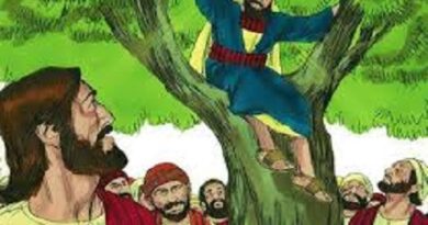 The story of zacchaeus climbing a tree - जक्कई के पेड़ पर चढ़ने की कहानी