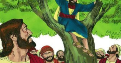 Story of zacchaeus climbing a tree - जक्कई के पेड़ पर चढ़ने की कहानी