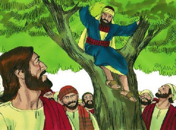 Story of zacchaeus climbing a tree - जक्कई के पेड़ पर चढ़ने की कहानी