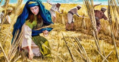 The story of ruth harvesting in boaz field - बोअज़ के खेत में रूत की फ़सल काटने की कहानी