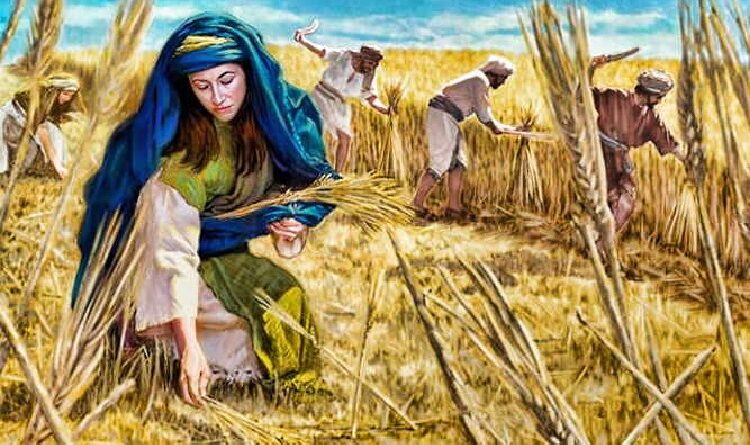 The story of ruth harvesting in boaz field - बोअज़ के खेत में रूत की फ़सल काटने की कहानी